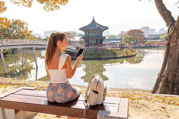 Best Time to Visit South Korea: A Seasonal Planning Guide for Travel Agencies