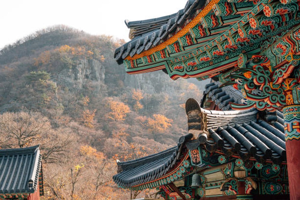 Traditioneel dakwerk met herfstkleuren op de achtergrond in Busan
