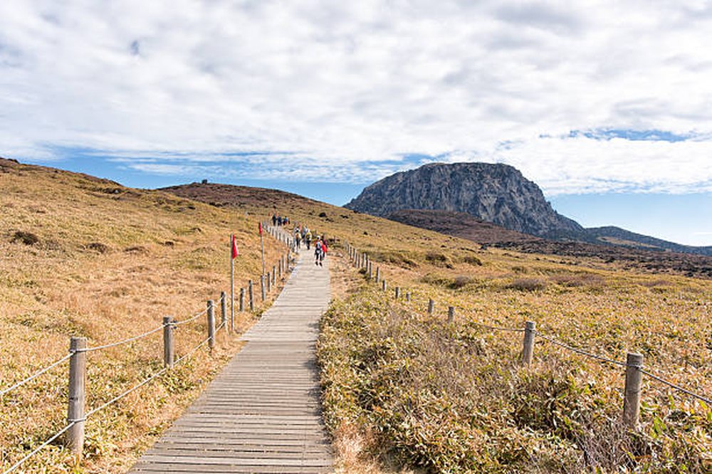 Wandelpad door gouden herfstgras op Jeju met een vulkanische heuvel op de achtergrond