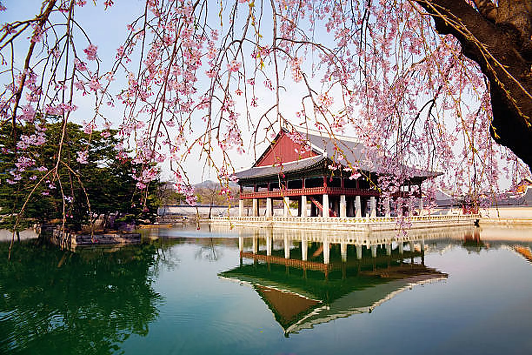 Best Time to Visit South Korea Seasonal Guide