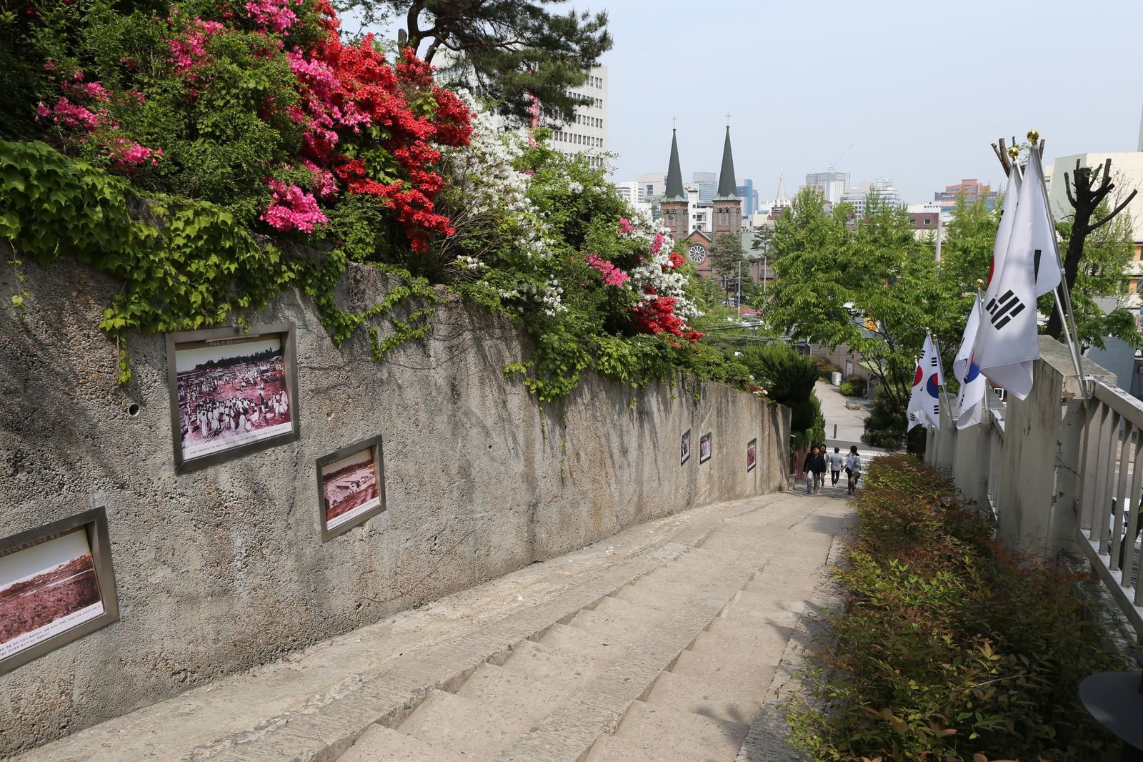 Daegu