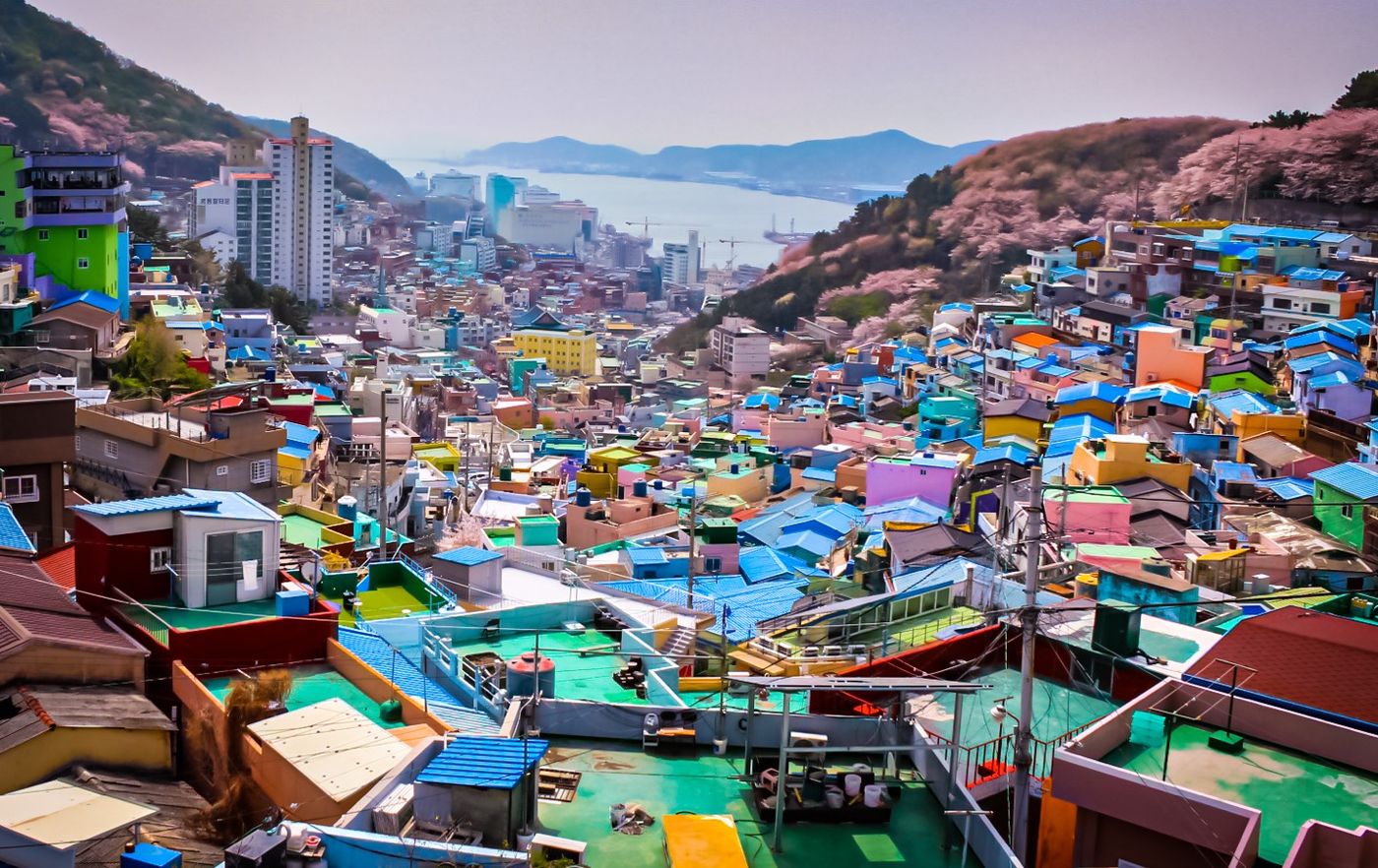 Kleurrijke huizen van Gamcheon Culture Village in Busan