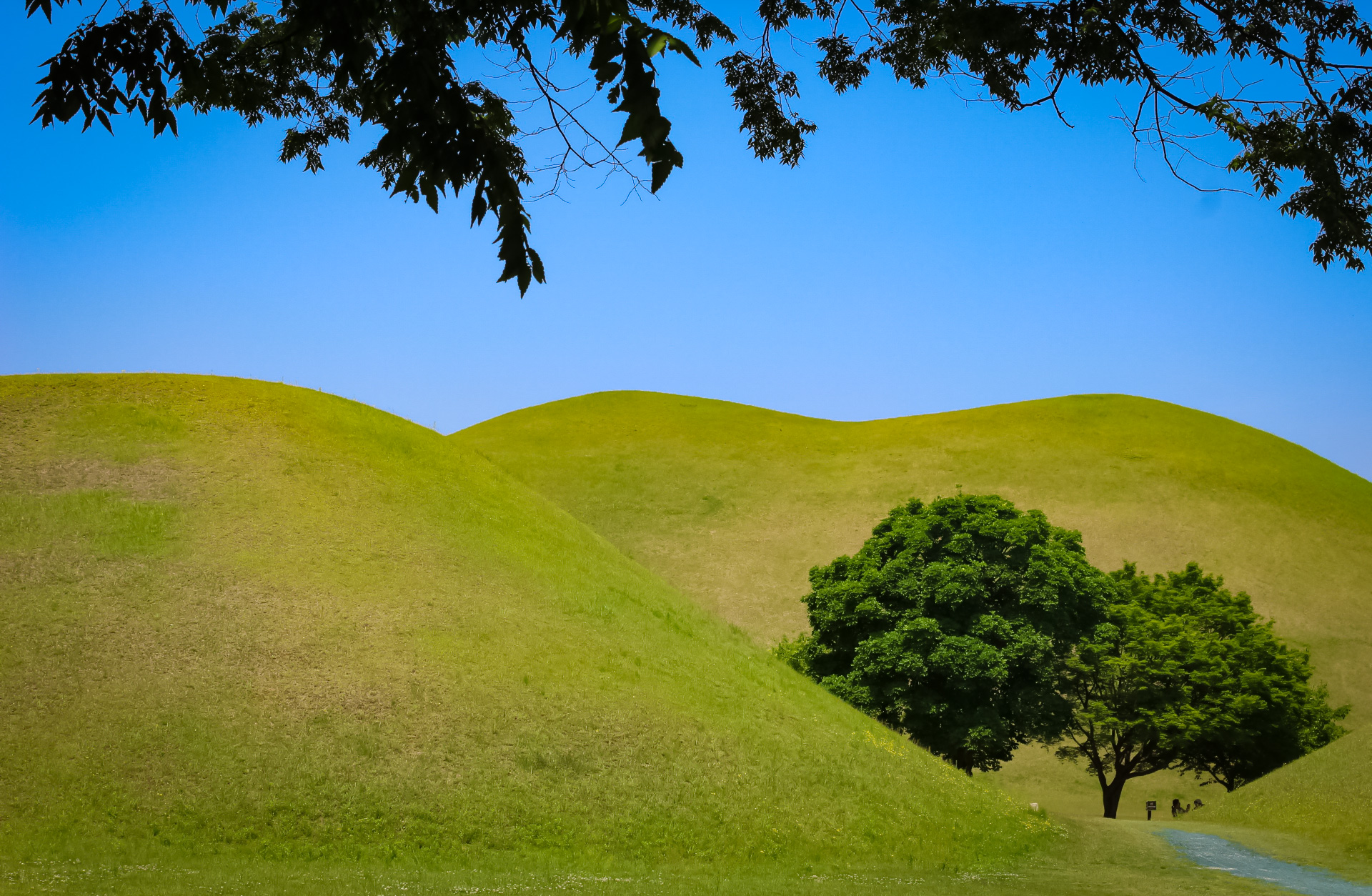 Royal tomb mounds in Gyeongju