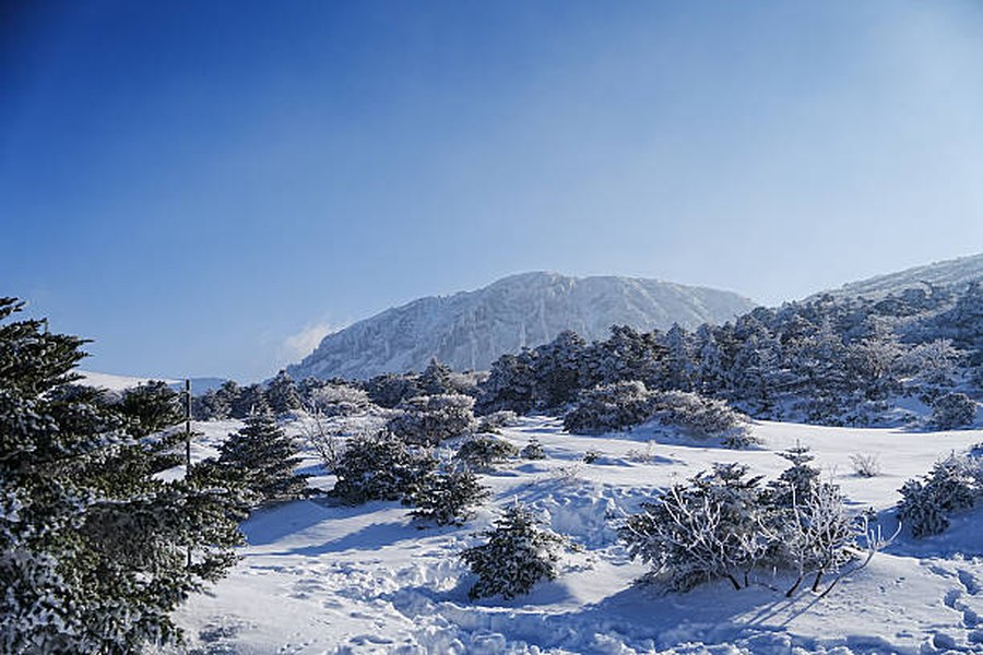 Besneeuwde natuur op Hallasan