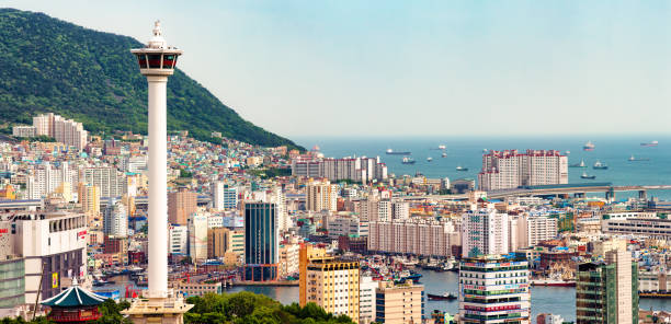 Busan Tours