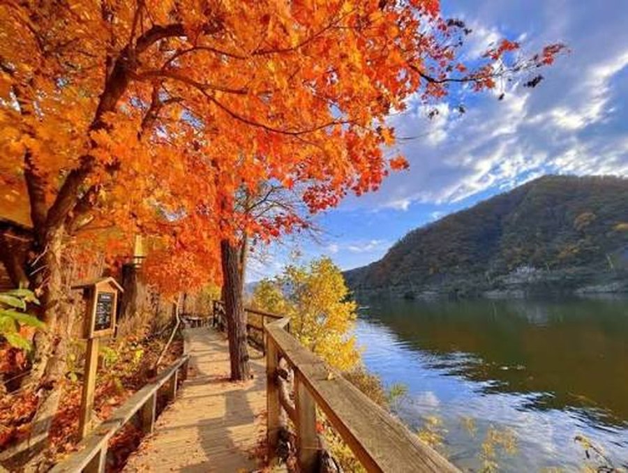 Herfstpad op Nami Island