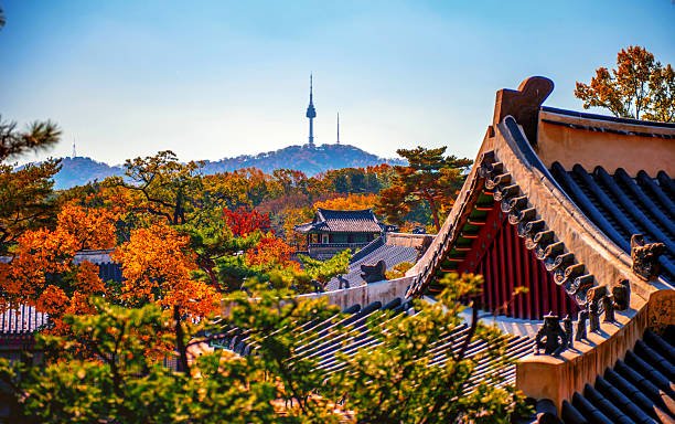 Herfstkleuren bij een paleis in Seoul, met Namsan Tower op de achtergrond