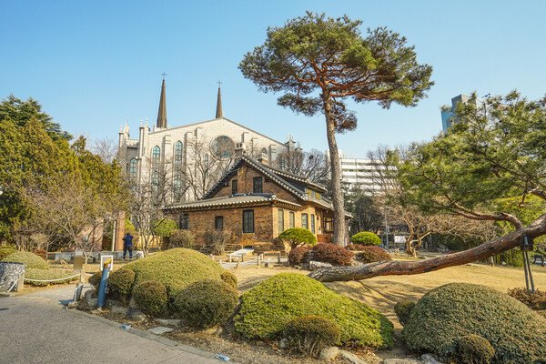Daegu Day Tour